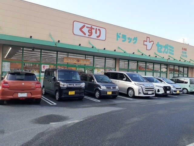 近くのココカラファインドラッグセガミまで650m（徒歩9分）
