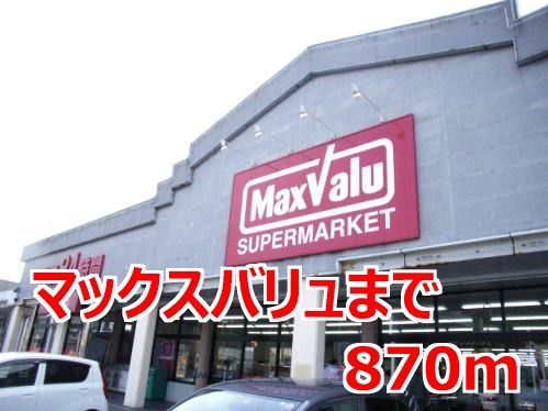 近くのマックスバリュまで870m(徒歩11分)