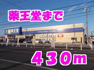 近くのドラッグストアまで430m（徒歩6分）