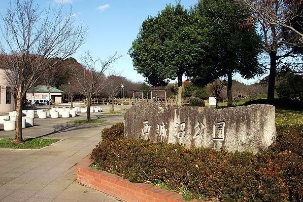近くの西城沼公園まで400m(徒歩5分)