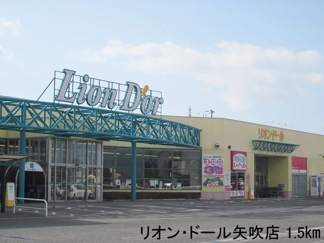 近くのリオン・ドール矢吹店まで1,500m（徒歩19分）