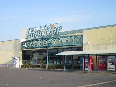 近くのリオン・ドール鏡石店まで900m（徒歩12分）