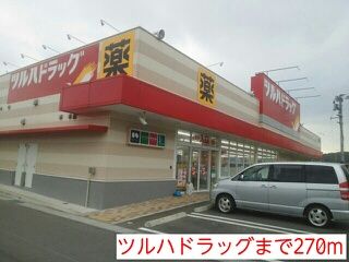 近くのツルハドラッグまで270m（徒歩4分）