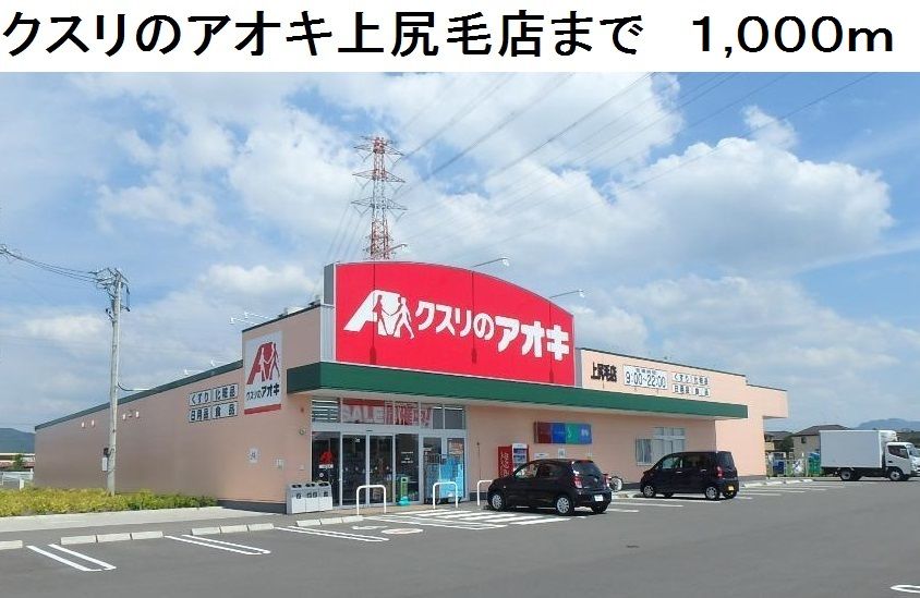 近くのクスリのアオキ上尻毛店まで1,000m(徒歩13分)