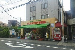 近くのナカヤマ薬局まで250m(徒歩4分)