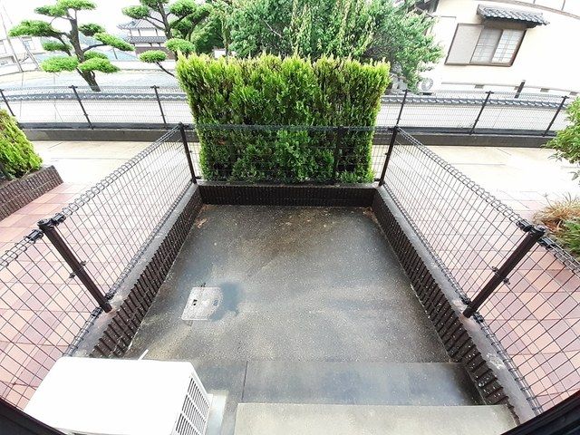 庭
