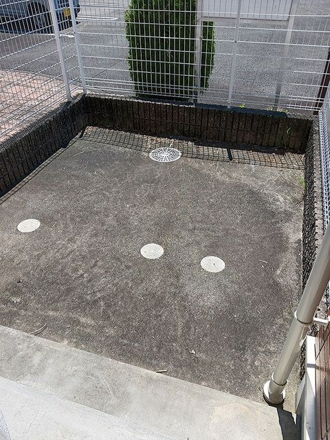 庭