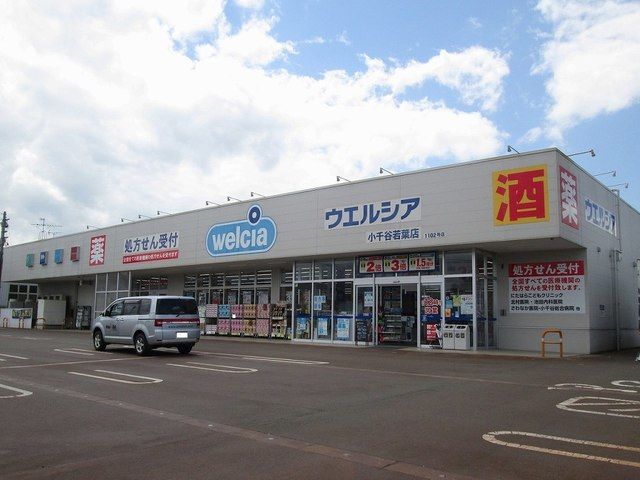 近くのウエルシアまで260m（徒歩4分）