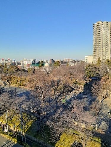 近くの飛鳥山公園まで200m（徒歩3分）