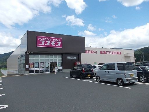 近くのドラッグストアまで300m（徒歩4分）