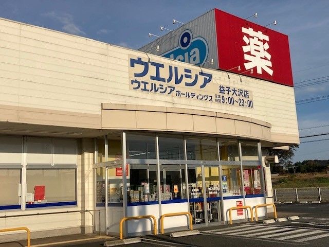 近くのウエルシア益子大沢店まで900m（徒歩12分）