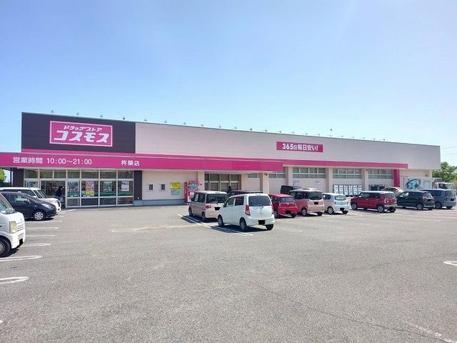 近くのドラッグストアまで250m（徒歩4分）