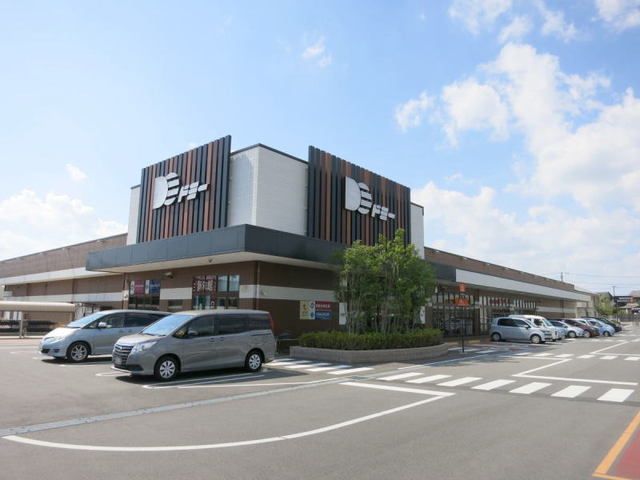 近くのドミー岩津店まで1,200m（徒歩15分）