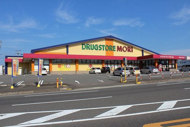 近くのドレッグストアモリまで1,600m（徒歩20分）