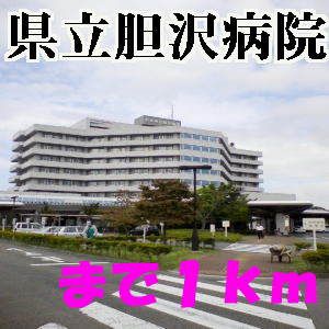 近くの胆沢病院まで1,000m（徒歩13分）