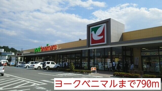 近くのスーパーまで790m（徒歩10分）