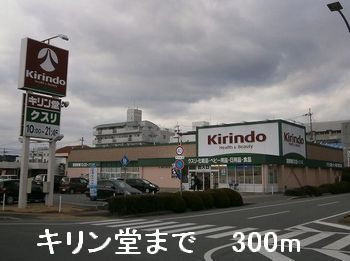 近くのドラッグストアまで300m（徒歩4分）