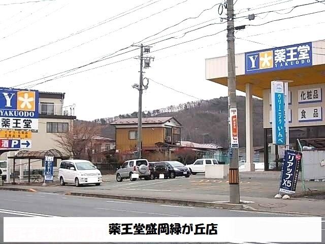 近くの薬王堂盛岡緑が丘店まで350m（徒歩5分）