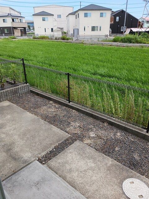 庭