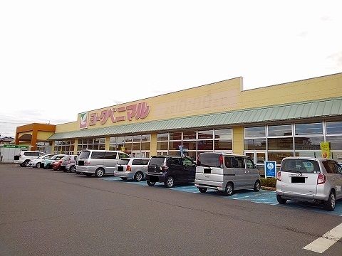 近くのヨークベニマル矢板店まで1,700m（徒歩22分）