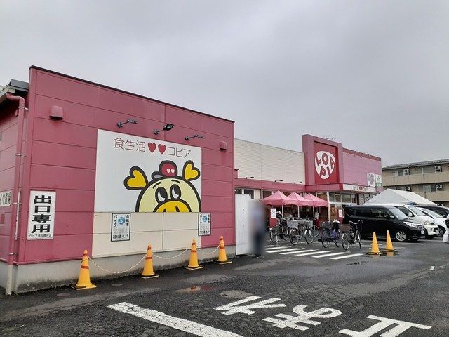 近くのロピアまで508m（徒歩7分）