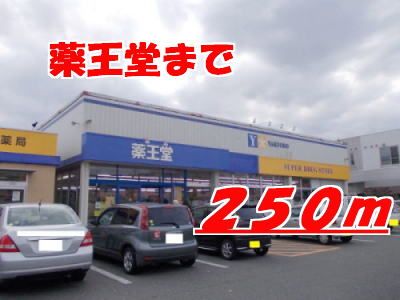 近くの薬王堂まで250m(徒歩4分)