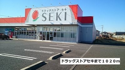 近くのドラッグストアセキまで1,020m（徒歩13分）