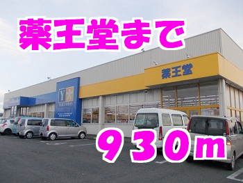近くの薬王堂まで930m（徒歩12分）