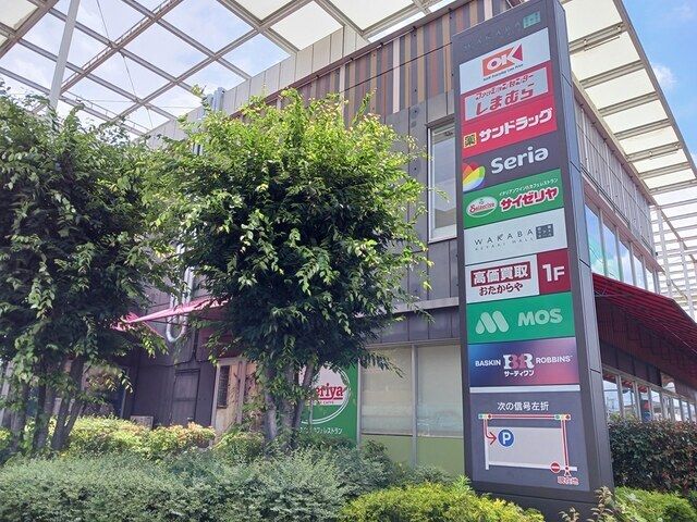 近くの若葉ケヤキモールまで700m（徒歩9分）