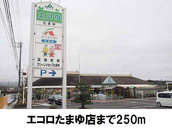 近くのエコロたまゆまで250m（徒歩4分）