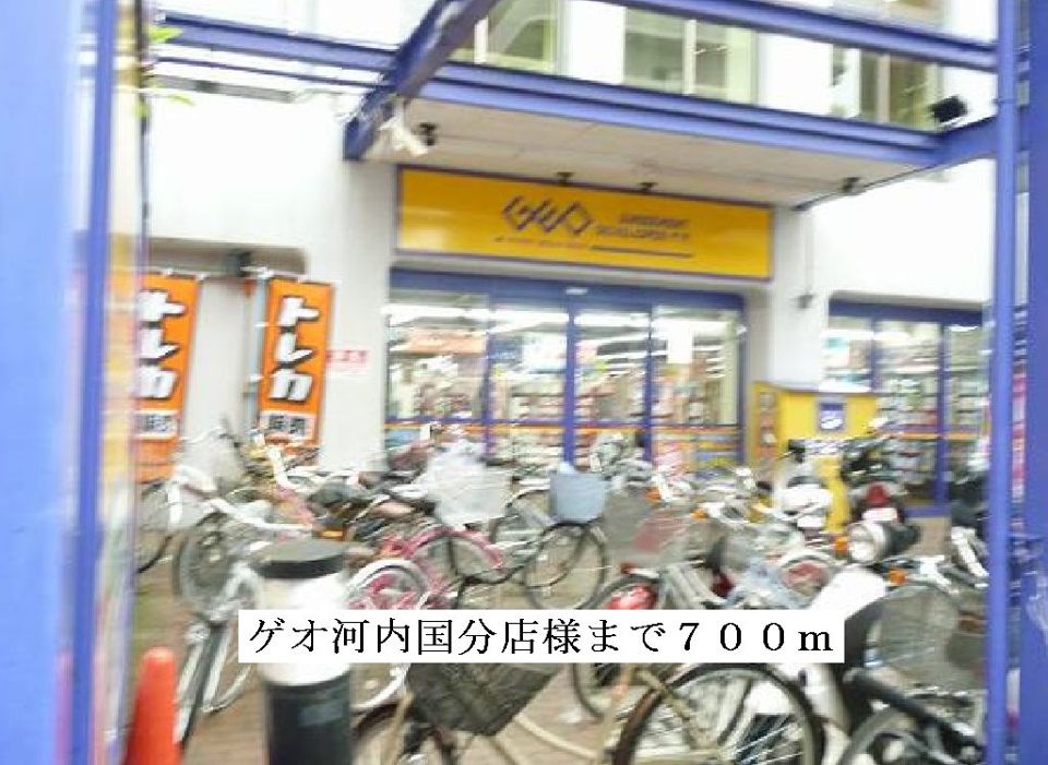 近くのゲオ河内国分店まで700m(徒歩9分)