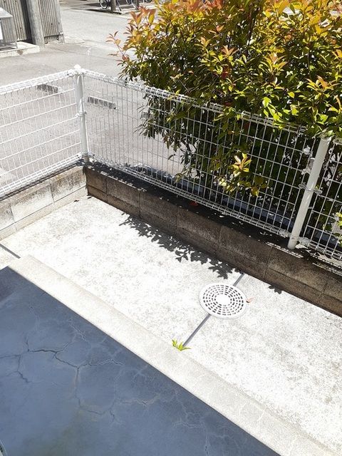 庭
