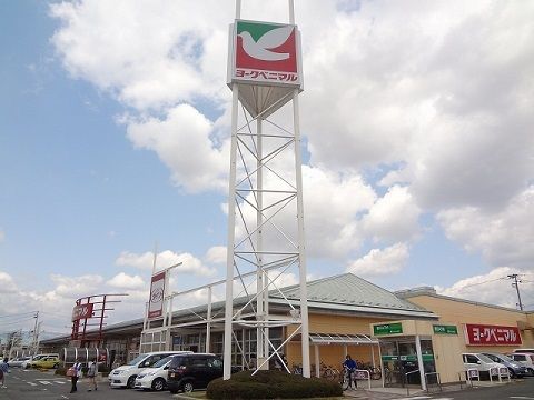 近くのヨークタウン八山田まで1,300m（徒歩17分）