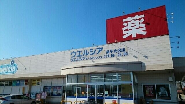 近くのウエルシア益子大沢店まで870m（徒歩11分）