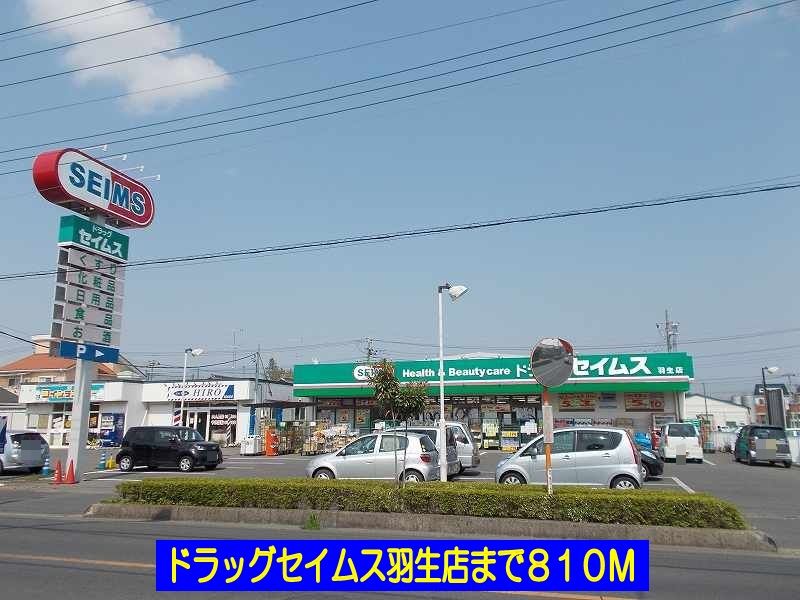 近くのドラッグストアまで810m（徒歩11分）