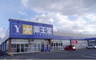 近くの薬王堂石鳥谷店まで1,900m（徒歩24分）