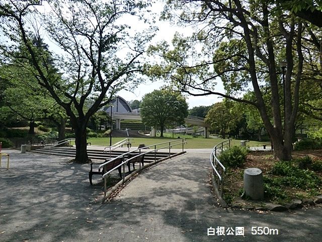 近くの白根公園まで550m（徒歩7分）