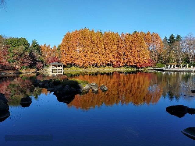 近くの中央公園まで500m(徒歩7分)
