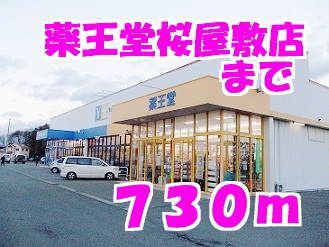 近くの薬王堂まで730m（徒歩10分）