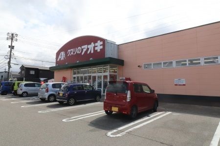 近くのクスリのアオキまで1,000m（徒歩13分）