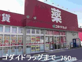 近くのゴダイドラッグまで750m（徒歩10分）