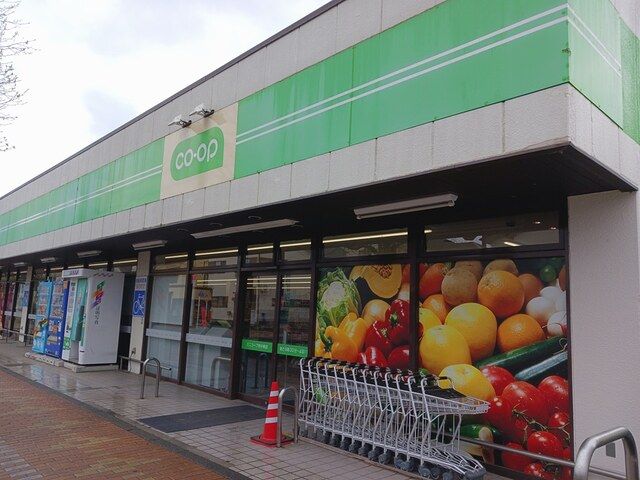 近くのミニコープ府中南店まで203m（徒歩3分）
