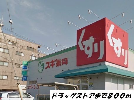 近くのドラッグストアまで800m（徒歩10分）