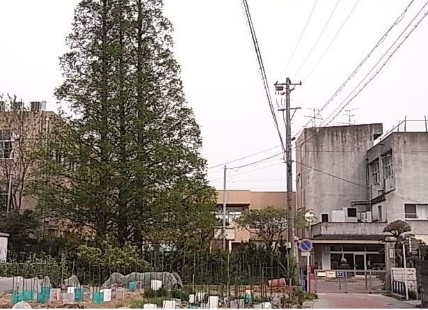 近くの吉浜小学校まで200m（徒歩3分）