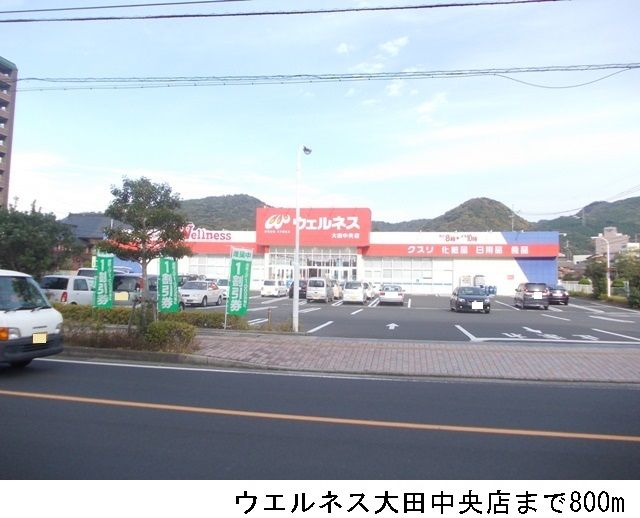 近くのウエルネス大田中央店まで800m（徒歩10分）