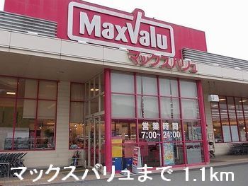 近くのマックスバリュまで1,100m（徒歩14分）
