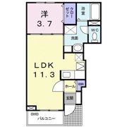 CASA本町の間取り画像