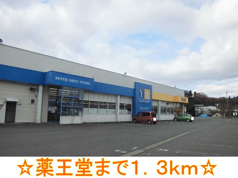 近くのドラッグストアまで1,300m（徒歩17分）