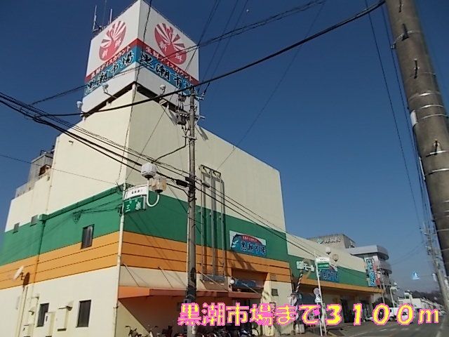 近くの黒潮市場まで3,100m（徒歩39分）