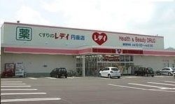 近くのレディ薬局さんまで1,300m(徒歩17分)